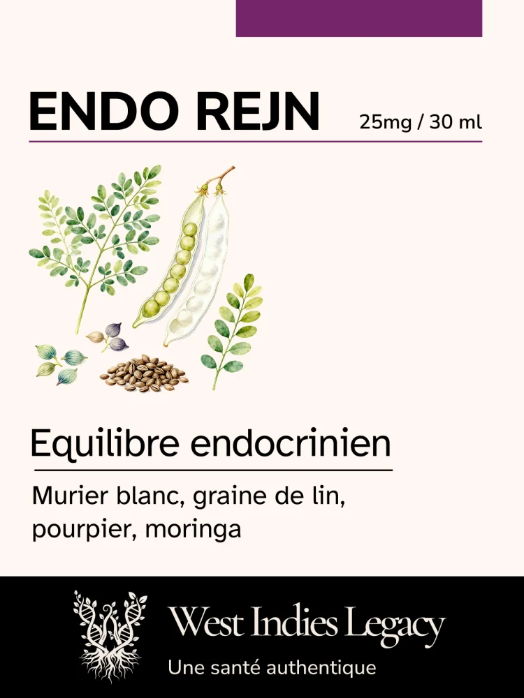 Endo Rejn - image 2